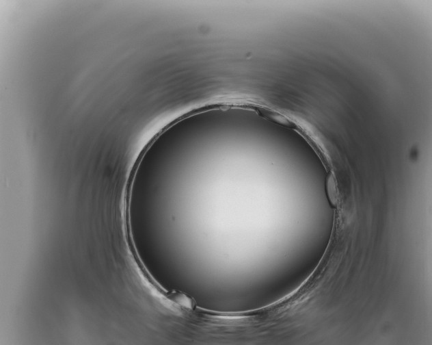 X0000089371343200706221213