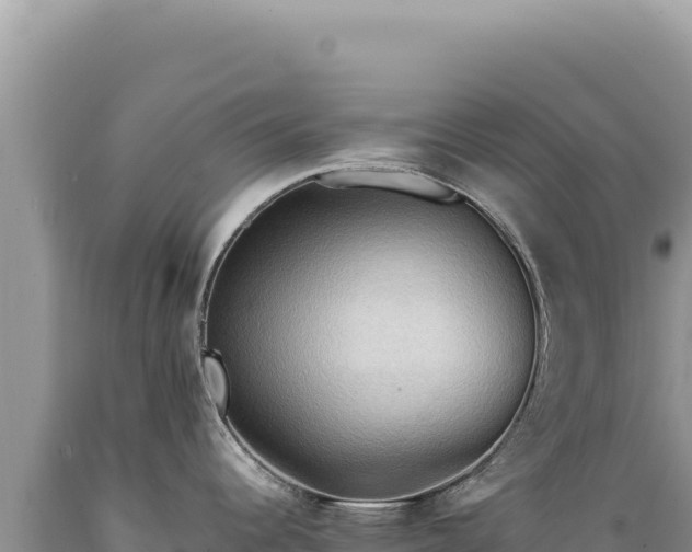 X0000089371344200706221213