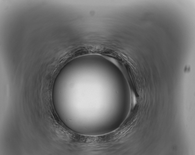 X0000089371345200706221212