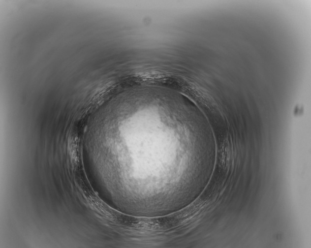 X0000089371346200706221212
