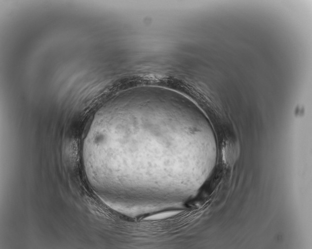X0000089371347200706221212