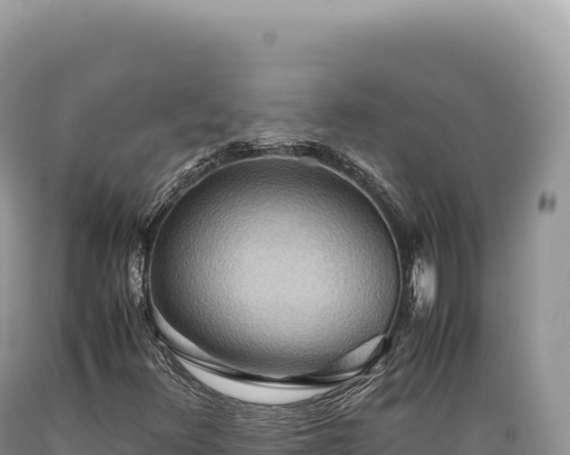 X0000089371348200706221212