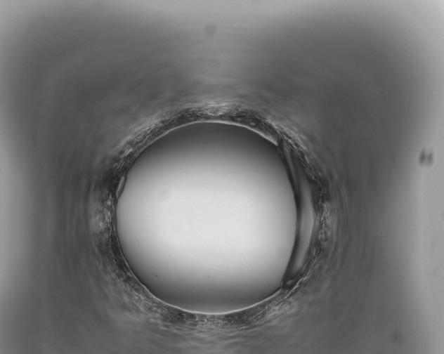 X0000089371349200706221212