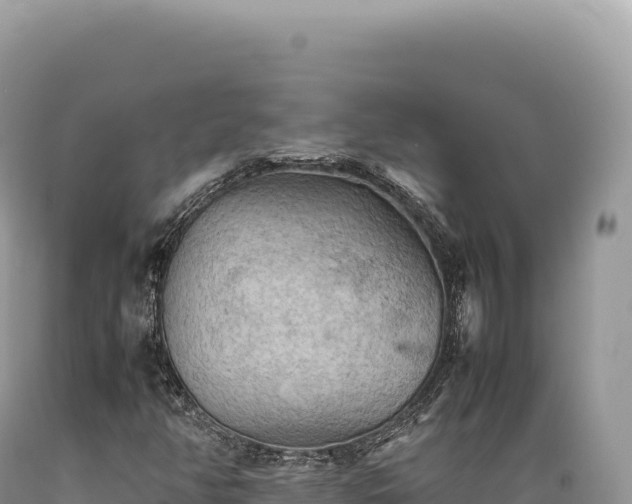 X0000089371350200706221212