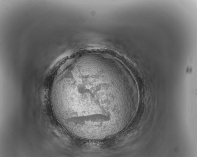 X0000089371351200706221212