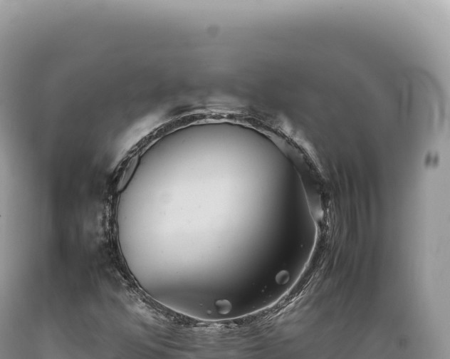 X0000089371352200706221212