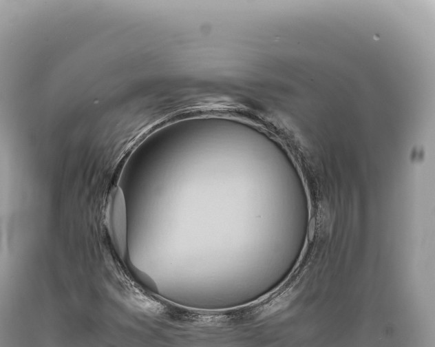 X0000089371353200706221212