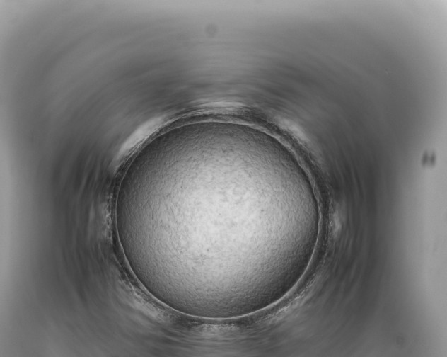 X0000089371354200706221212
