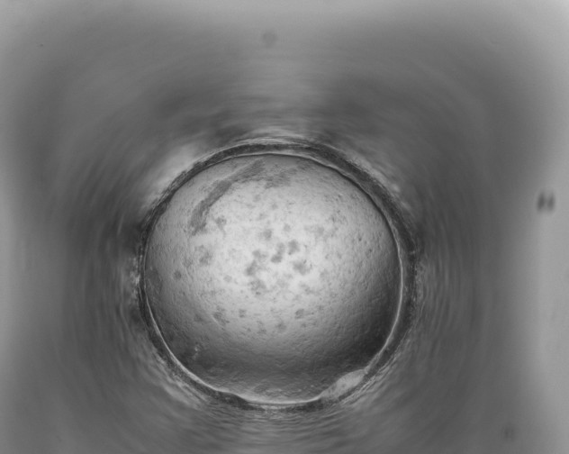 X0000089371355200706221212