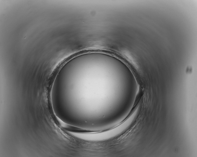 X0000089371356200706221212