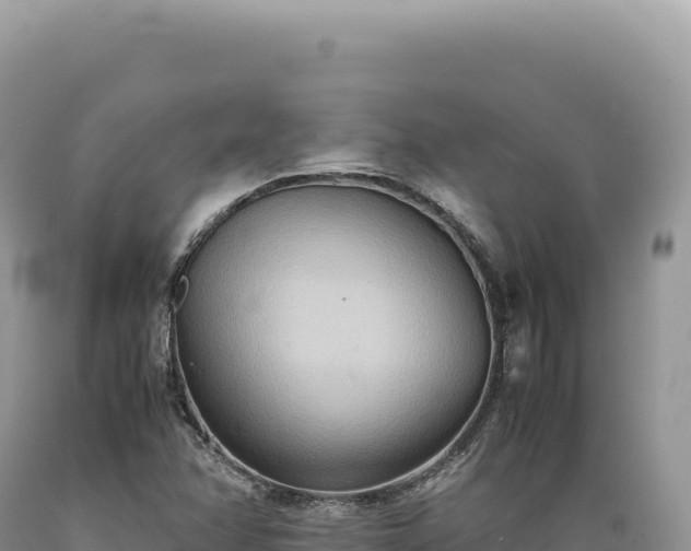 X0000089371358200706221212