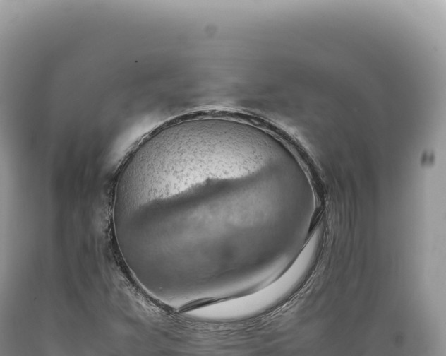 X0000089371359200706221212