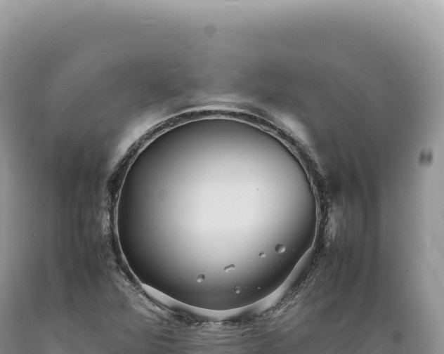 X0000089371360200706221212