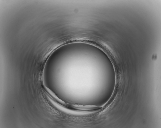 X0000089371361200706221212