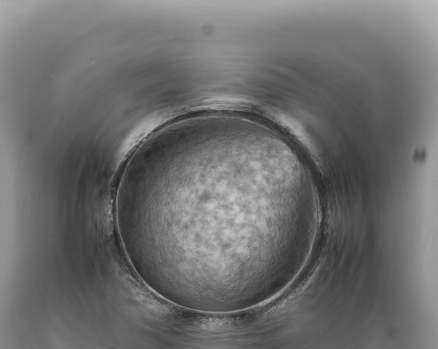 X0000089371362200706221212