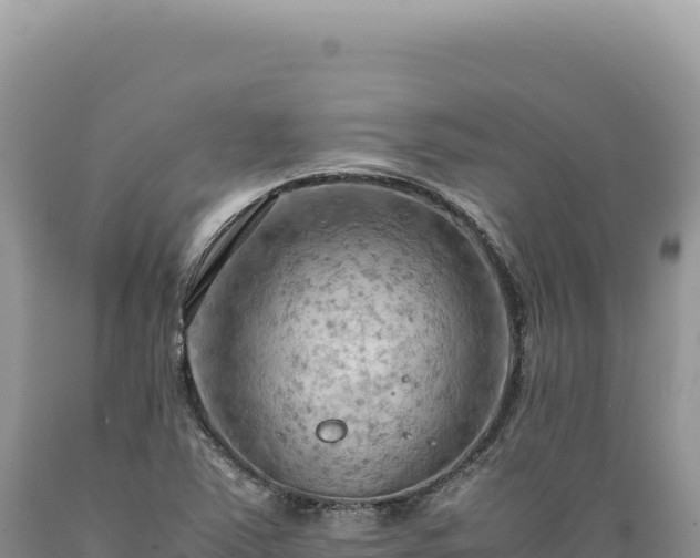 X0000089371363200706221212