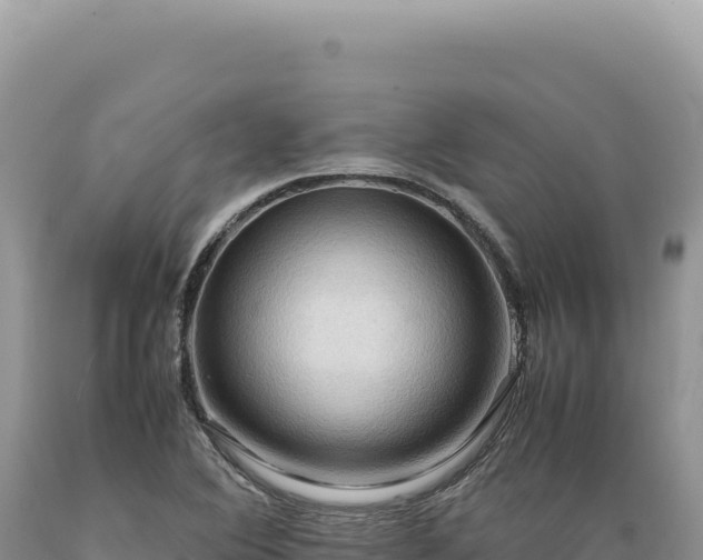 X0000089371364200706221212