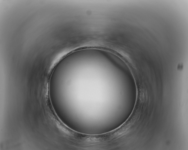 X0000089371366200706221212