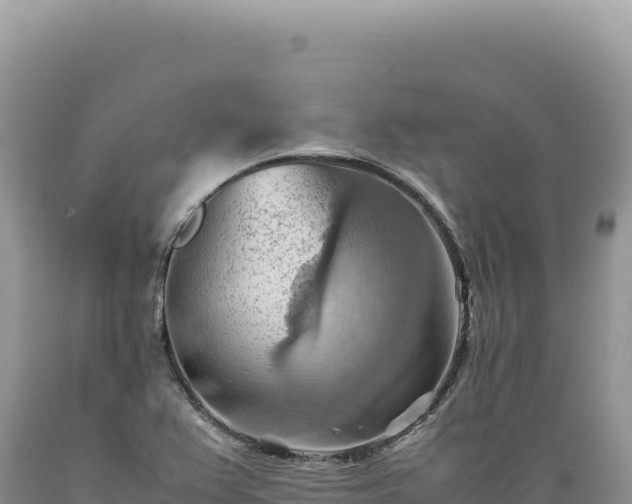 X0000089371367200706221212