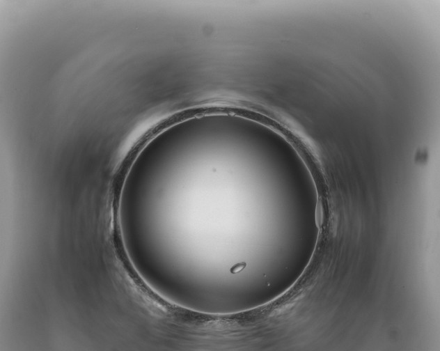 X0000089371368200706221212