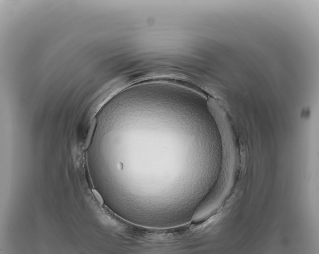 X0000089371369200706221212
