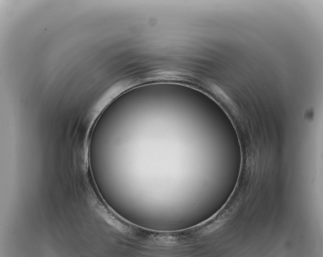 X0000089371370200706221212