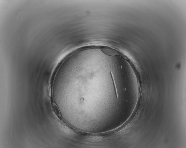 X0000089371372200706221212