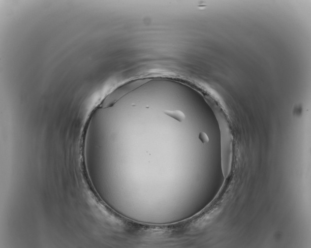 X0000089371373200706221212