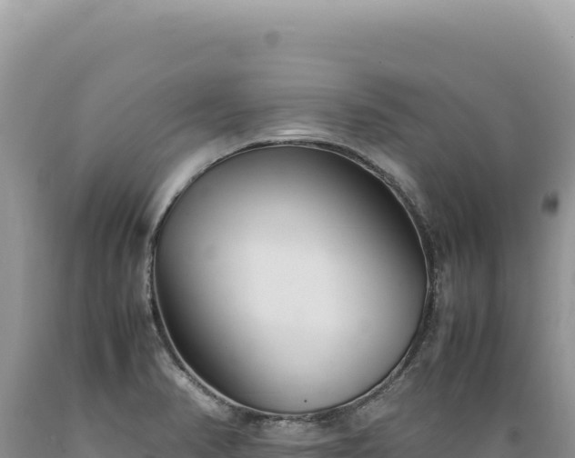 X0000089371374200706221212