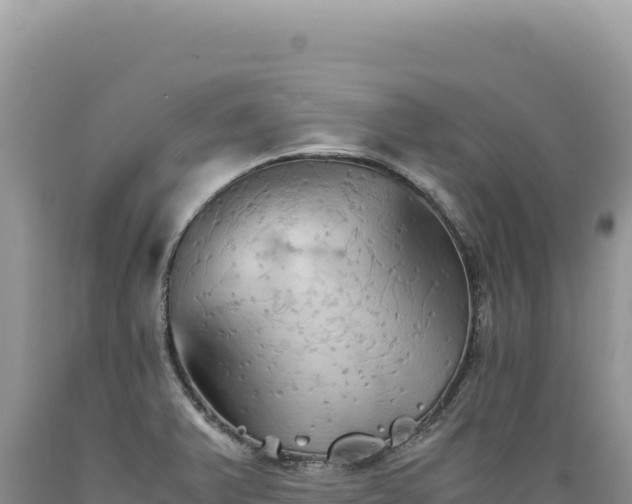 X0000089371375200706221212