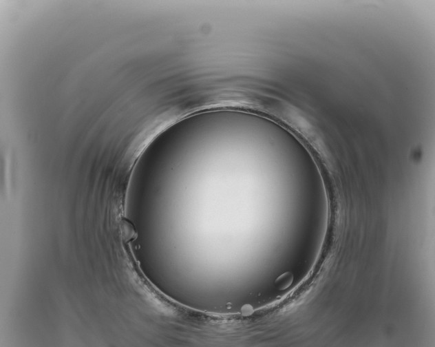 X0000089371377200706221212