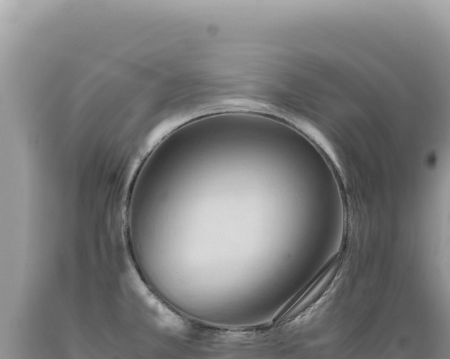 X0000089371381200706221212
