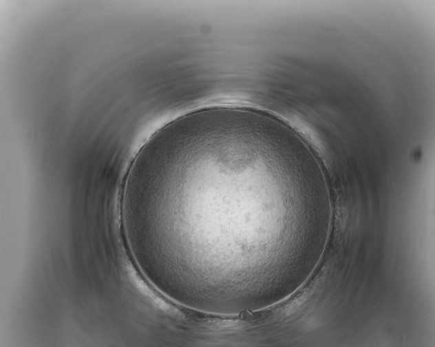 X0000089371382200706221212