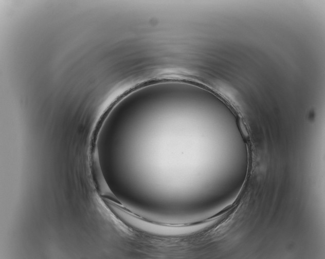 X0000089371384200706221212