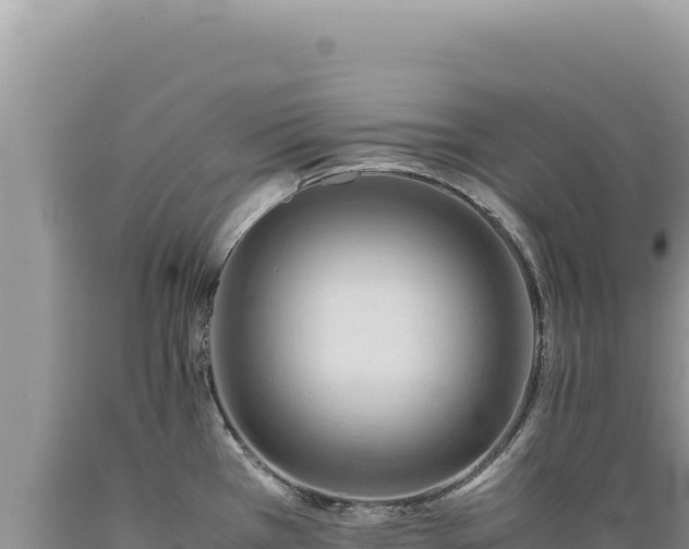 X0000089371385200706221212