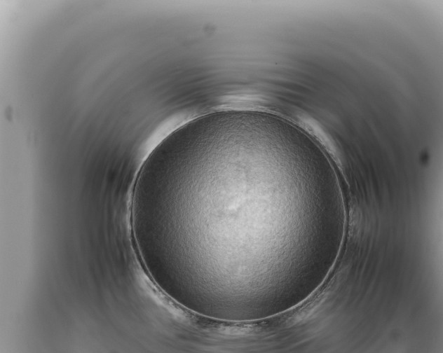 X0000089371386200706221212