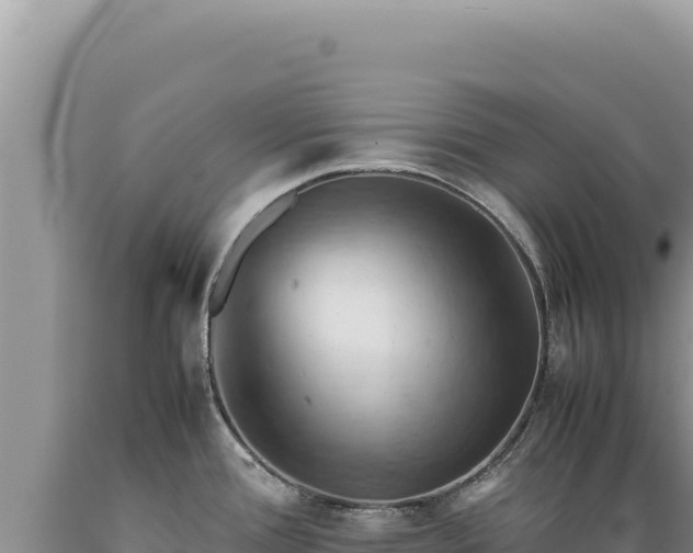 X0000089371388200706221212