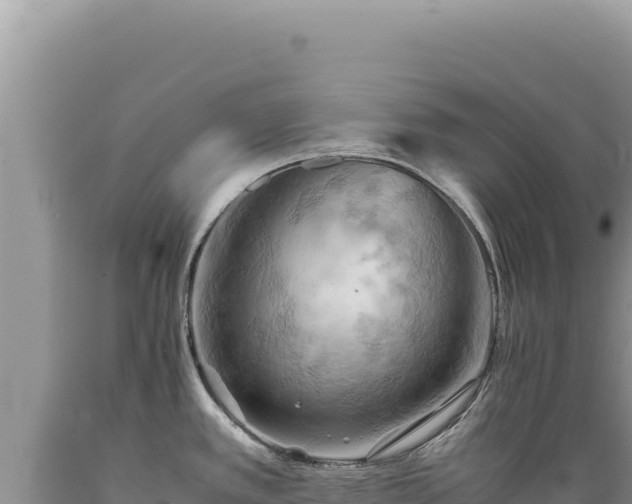 X0000089371389200706221212