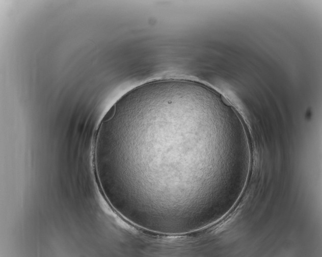 X0000089371390200706221212