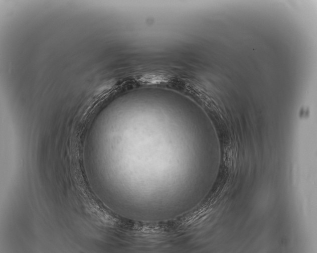 X0000089371393200706221211