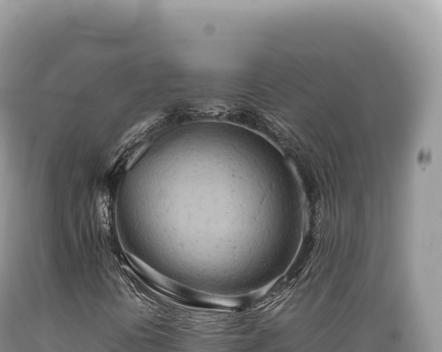 X0000089371394200706221211