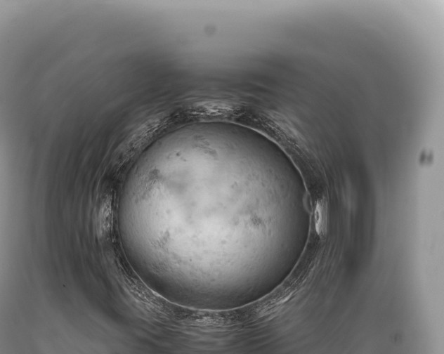X0000089371395200706221211