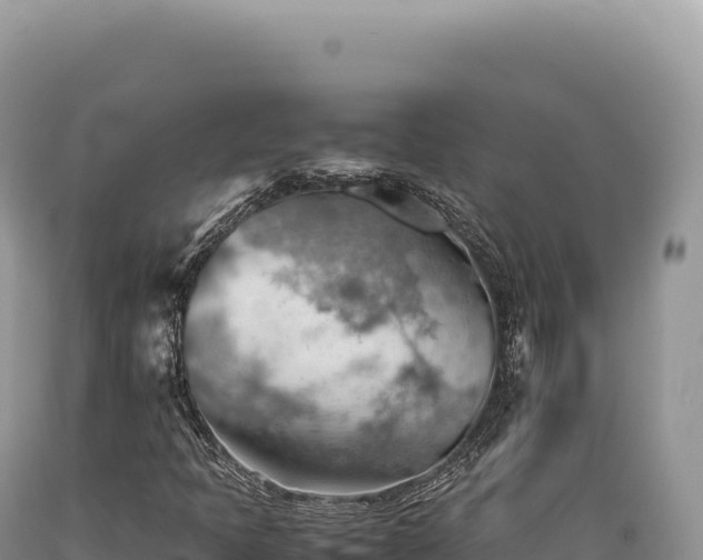 X0000089371397200706221211