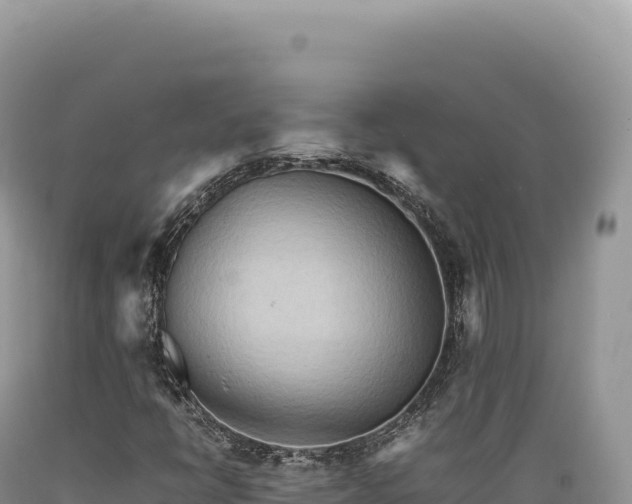 X0000089371398200706221211