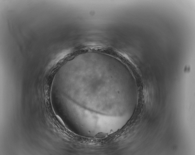 X0000089371399200706221211