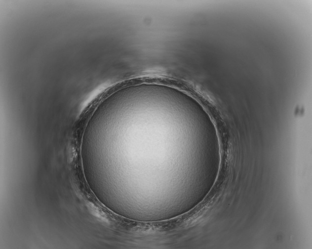 X0000089371400200706221211