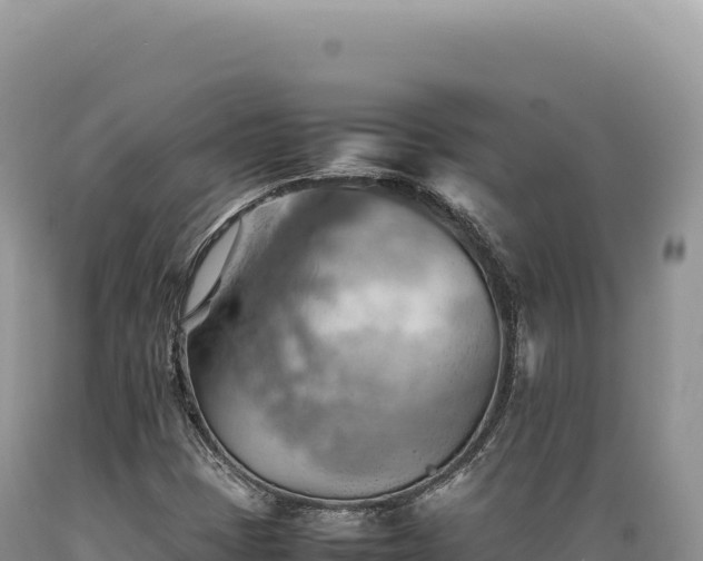 X0000089371401200706221211