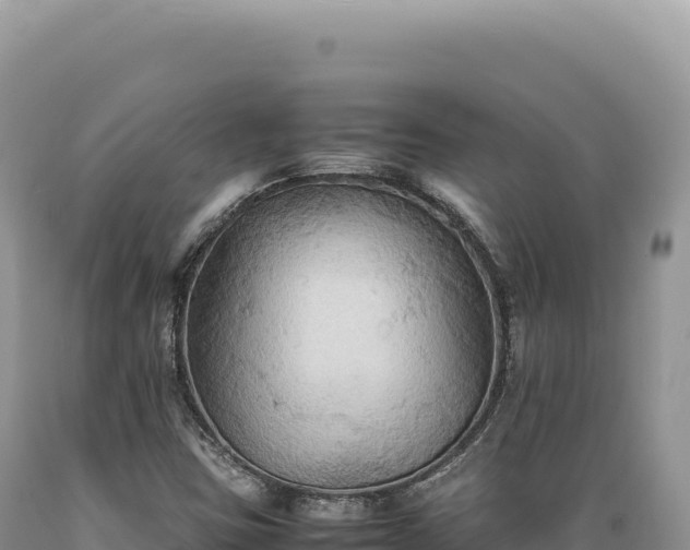 X0000089371403200706221211