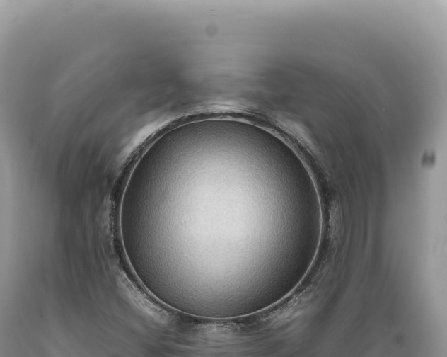 X0000089371404200706221211