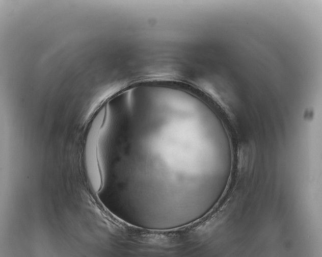 X0000089371405200706221211